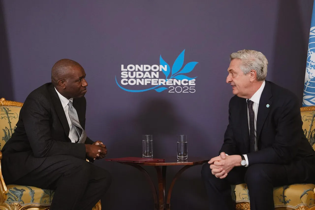 UK conference calls for 'decisive efforts' to resolve Sudan conflict